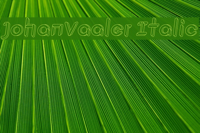JohanVaaler Italic Font examples