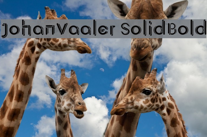 JohanVaaler SolidBold Font examples