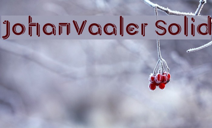 JohanVaaler Solid Font examples