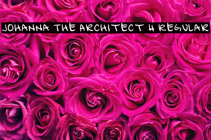 Johanna The Architect H Regular Example 1