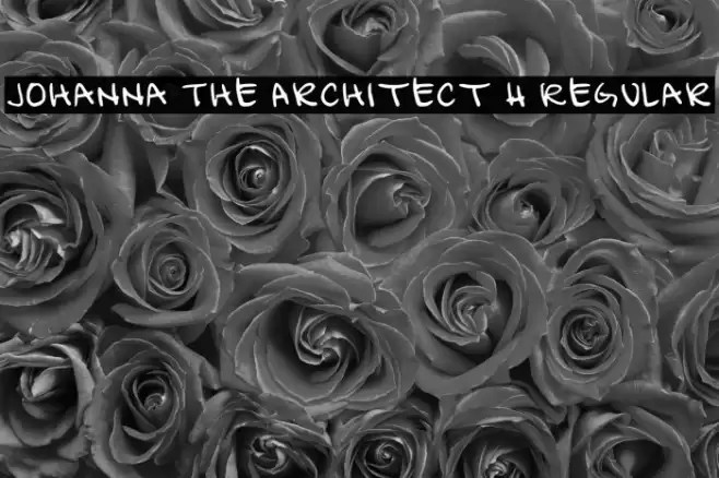 Johanna The Architect H Regular フォント examples