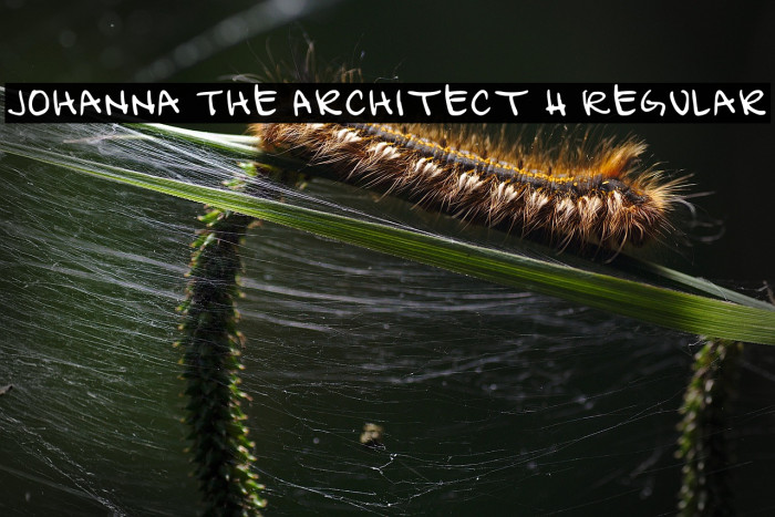 Johanna The Architect H Regular Example 2