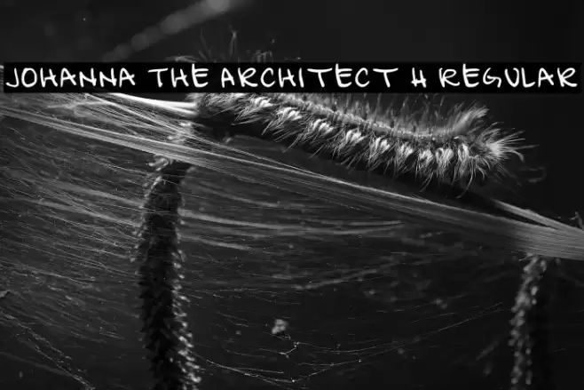 Johanna The Architect H Regular フォント examples