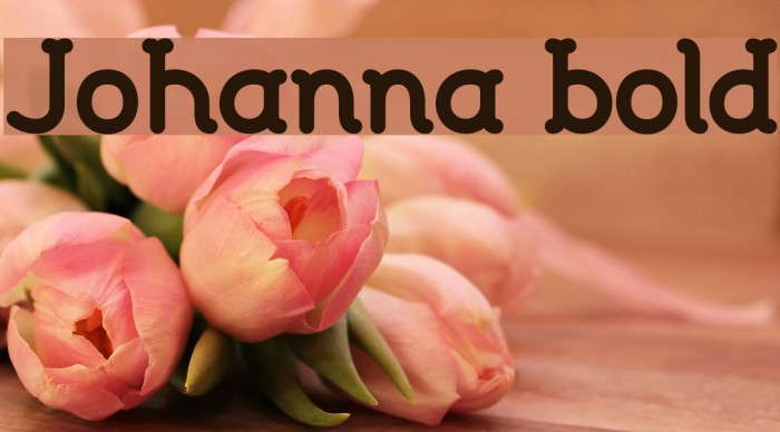 Johanna bold Font examples