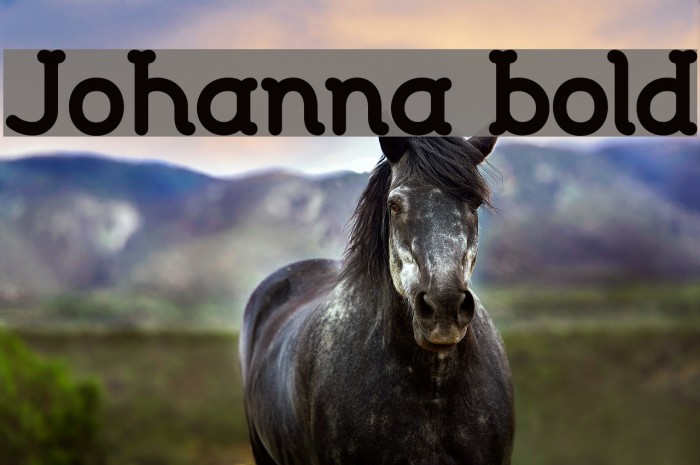 Johanna bold Font examples