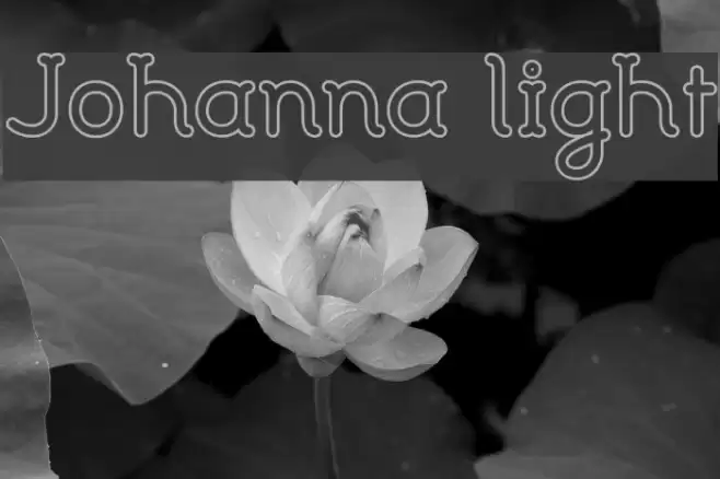 Johanna light Font examples