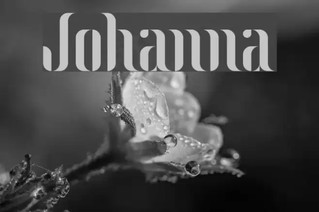 Johanna Font examples