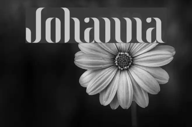 Johanna Font examples
