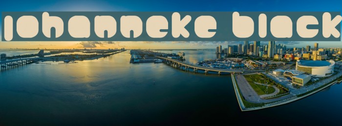 Johanneke Black Font examples