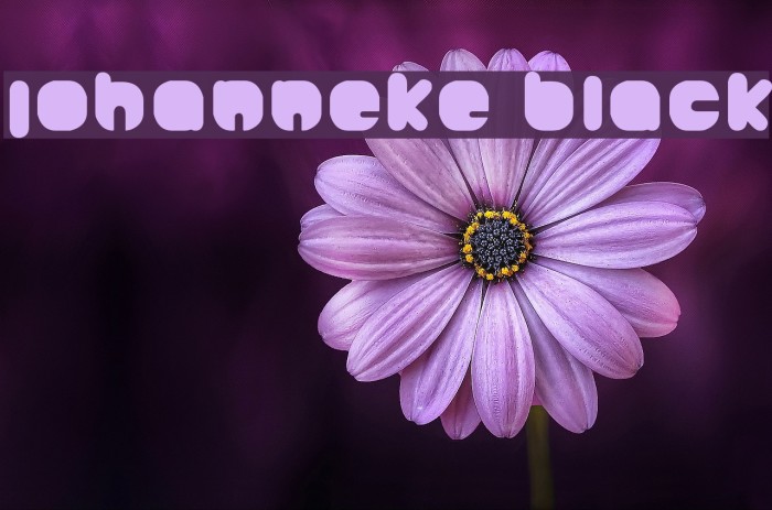 Johanneke Black Font examples