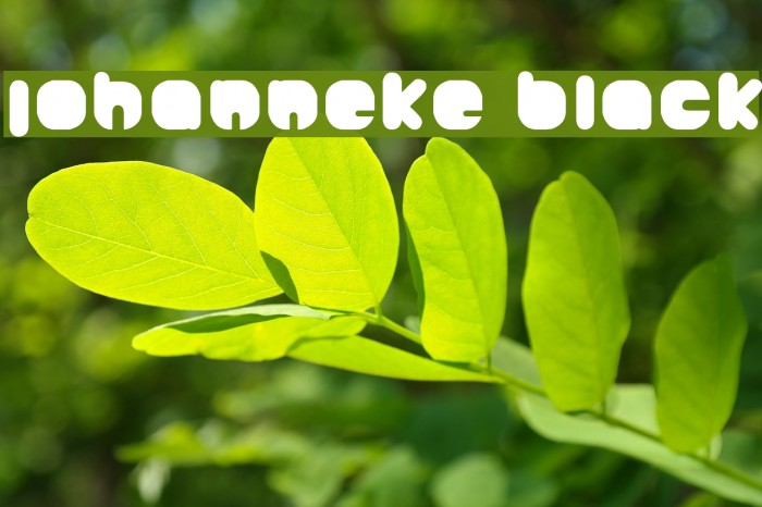 Johanneke Black Font examples