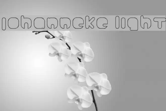 Johanneke Light Font examples