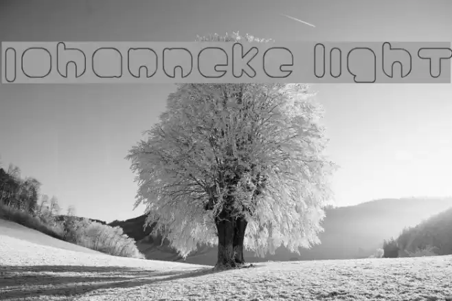 Johanneke Light Font examples