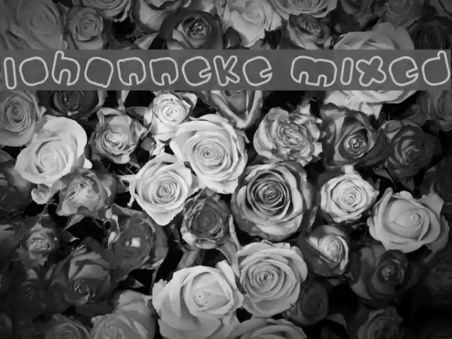 Johanneke Mixed Font examples