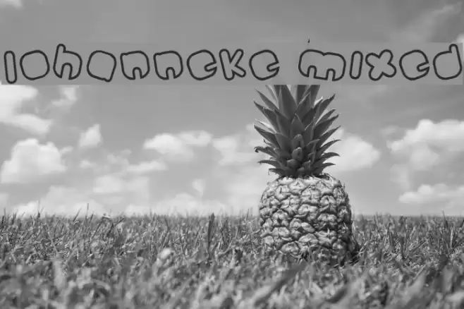 Johanneke Mixed Font examples