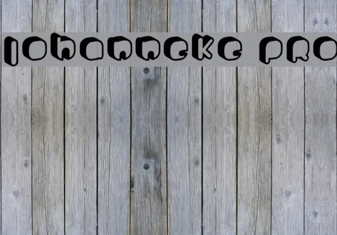 Johanneke Pro Example 1