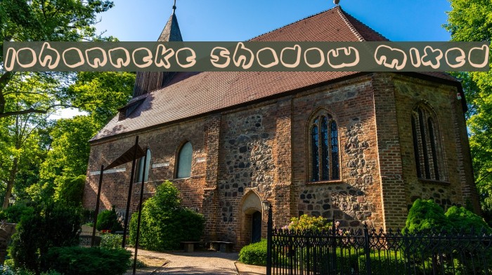 Johanneke Shadow Mixed Example 3