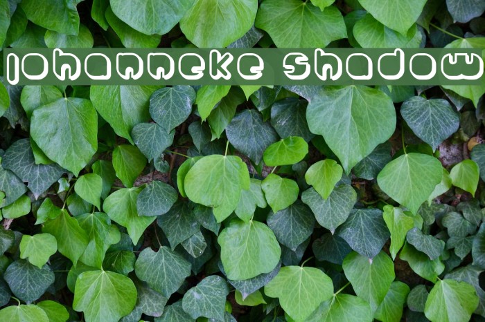 Johanneke Shadow Example 3