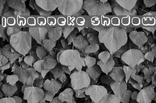 Johanneke Shadow Font examples