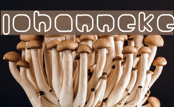 Johanneke Font examples