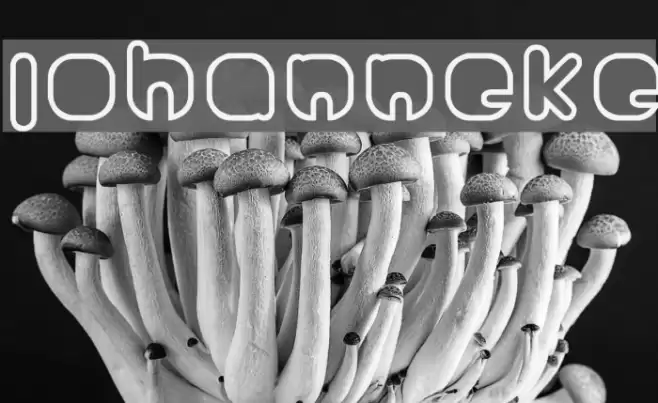 Johanneke Font examples