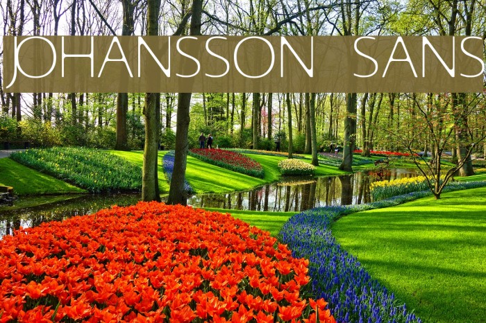 Johansson Sans Font examples
