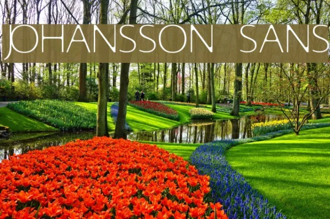 Johansson Sans Example 1