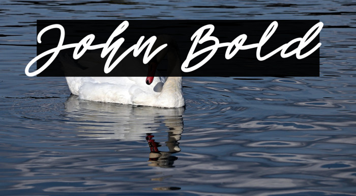 John Bold Font examples