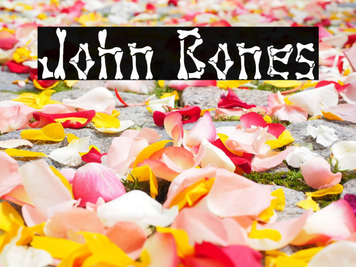 John Bones Example 2