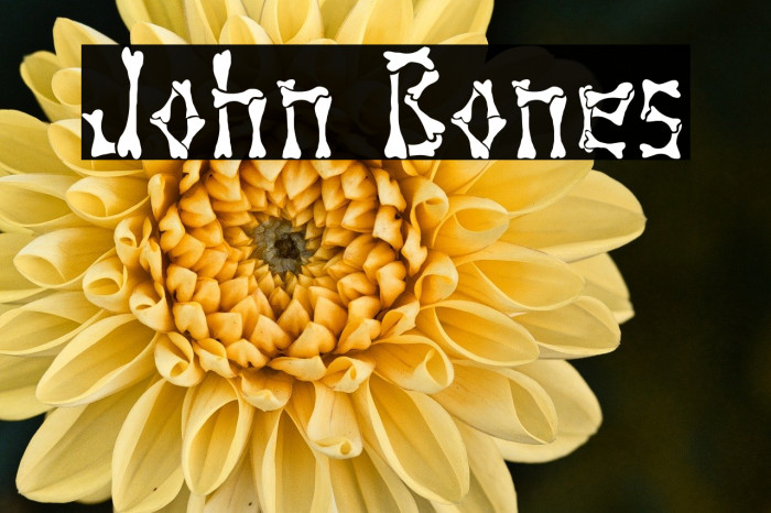 John Bones Example 3