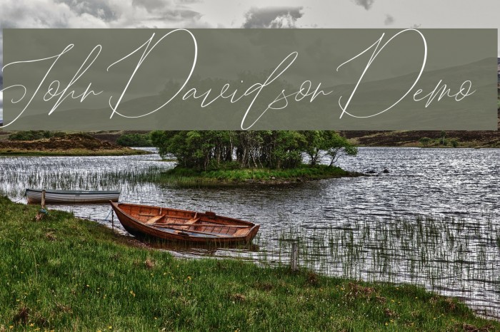 John Davidson Demo Schriftart examples