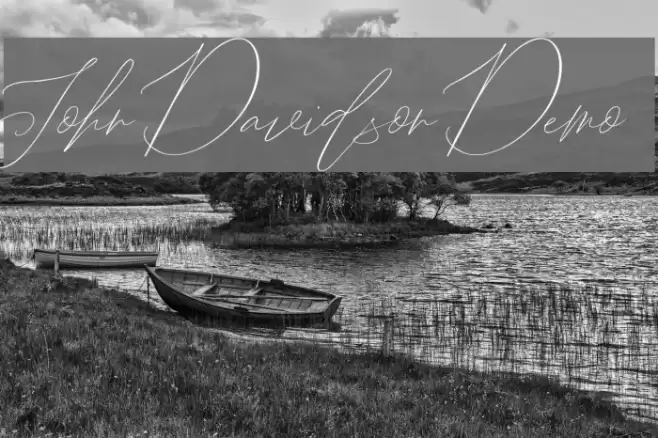 John Davidson Demo Schriftart examples