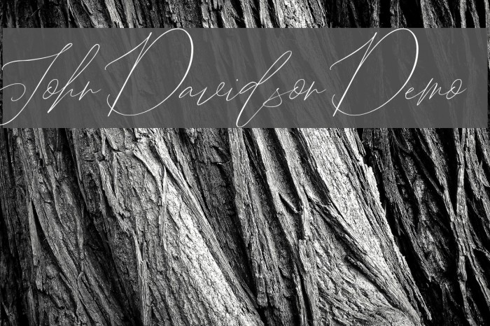 John Davidson Demo Schriftart examples