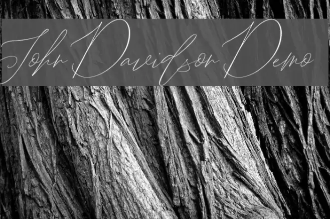 John Davidson Demo Schriftart examples