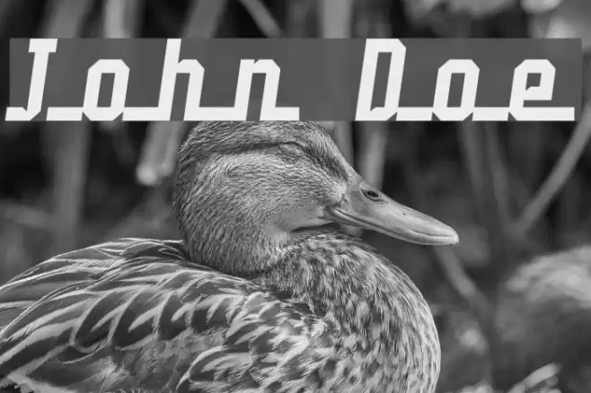 John Doe Font examples