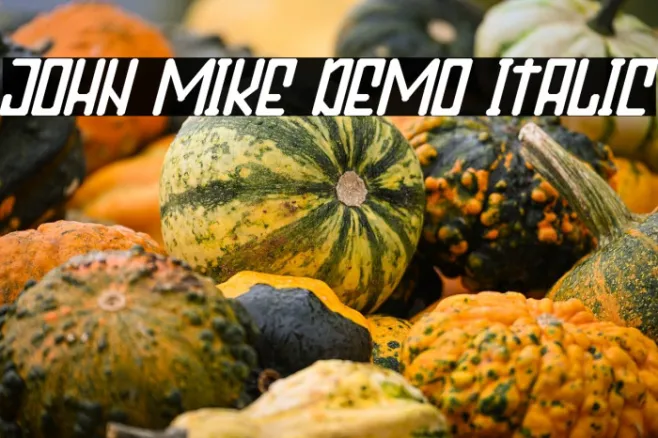 John Mike Demo Italic Example 2