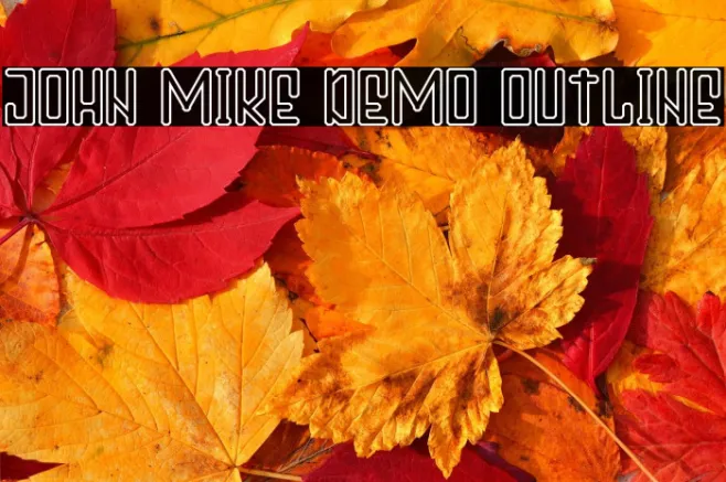 John Mike Demo Outline Example 1