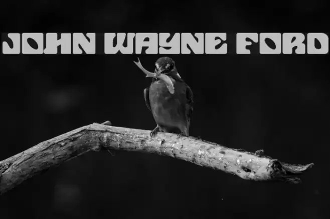 John Wayne Ford Font examples