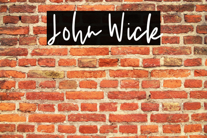 John Wick Example 2
