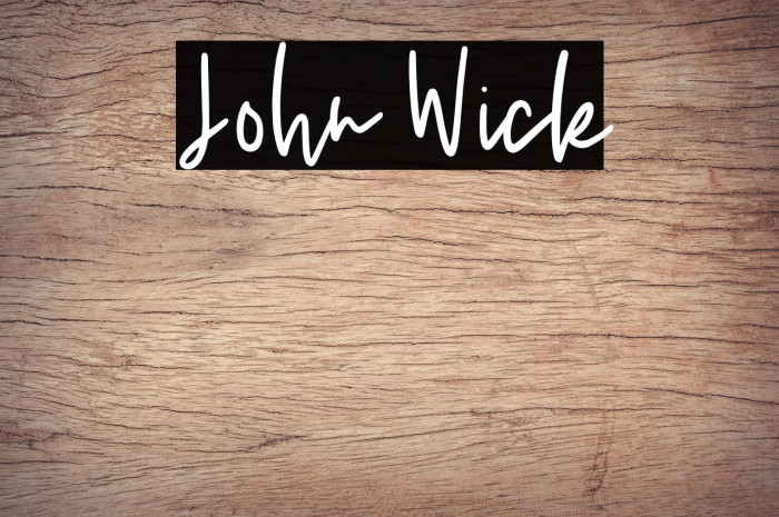 John Wick Example 3