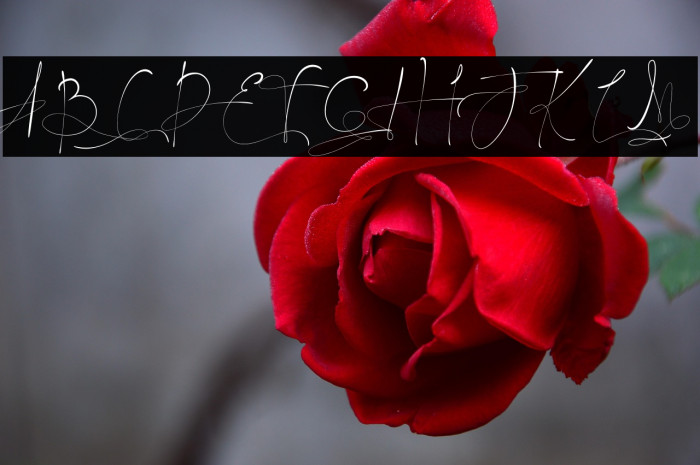 JohnAsttern - Demo Example 3