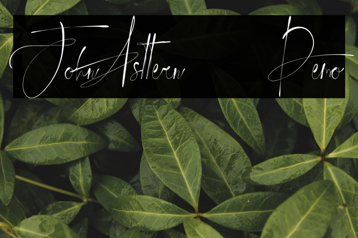 JohnAsttern - Demo Example 1