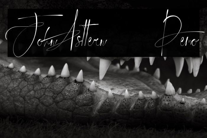 JohnAsttern - Demo Example 3