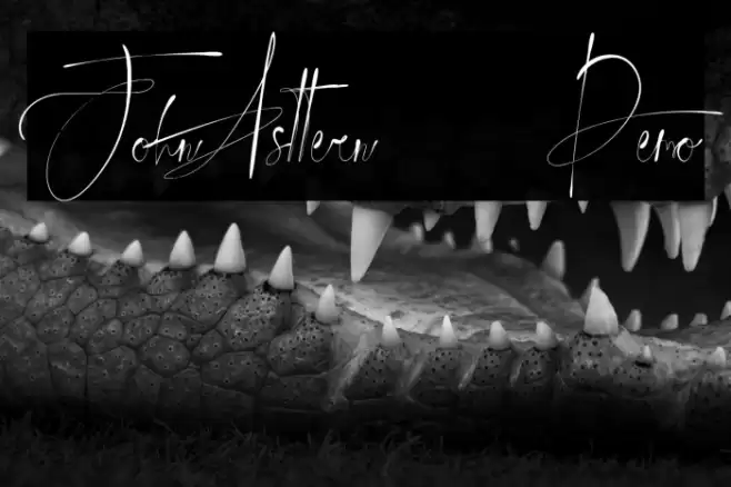 JohnAsttern - Demo Font examples