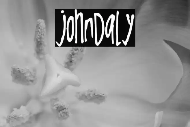 JohnDaly Polices examples