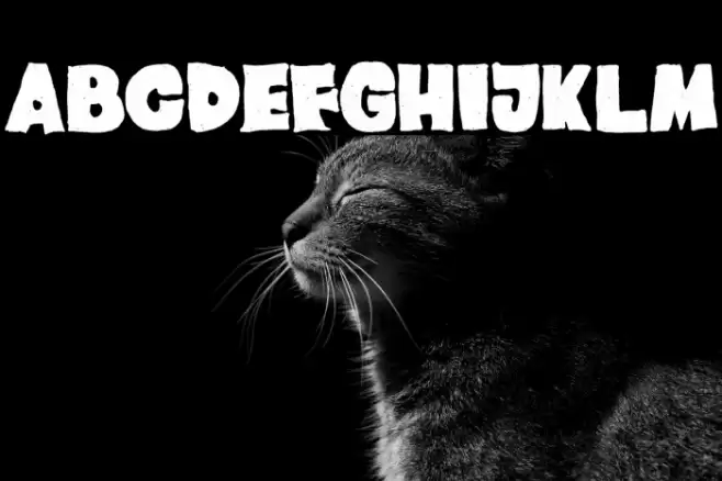 Johnie Blackerson Font examples