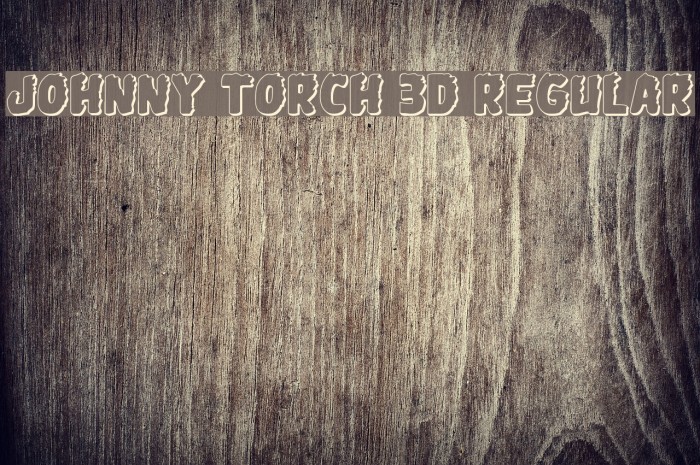 Johnny Torch 3D Regular Font examples