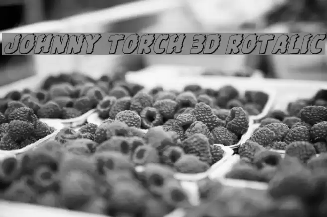 Johnny Torch 3D Rotalic Font examples