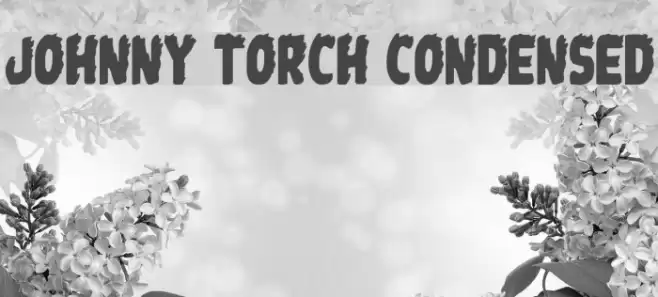 Johnny Torch Condensed Fonte examples
