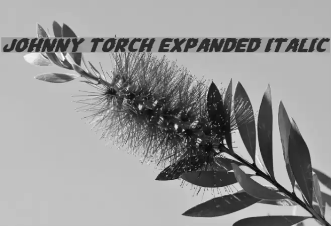 Johnny Torch Expanded Italic フォント examples